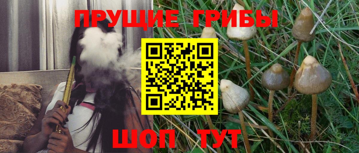 Псилоцибиновые грибы прущие грибы Люберцы