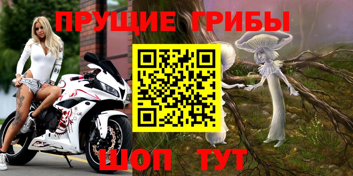 Псилоцибиновые грибы Psilocybine cubensis  как найти закладки  Люберцы  Вход с VPN  Псилоцибиновые грибы MAGIC MUSHROOMS 